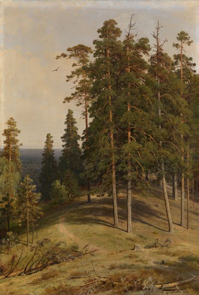 Fyrreskoven, 1895 af Ivan Ivanovich Shishkin