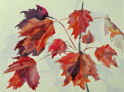 No.24 Autumn Maple Leaves (wc) af Izabella Godlewska de Aranda