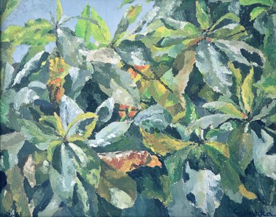 Planter, 1961 af Izabella Godlewska de Aranda