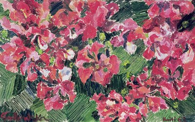 Rhododendron, 1962 af Izabella Godlewska de Aranda