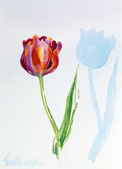 Tulip, 1998 (wc på papir) (se også 124446 & 124447) af Izabella Godlewska de Aranda