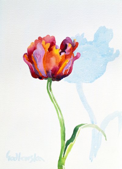 Tulip, 1998 (wc på papir) (se også 124446 & 124448) af Izabella Godlewska de Aranda