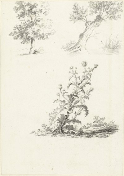 To undersøgelser af et træ og en tidsel af J.B. Joss (attributed to)