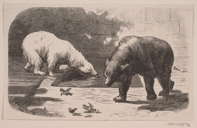 Bjørne i Jardin des Plantes af J.C. Nielsen