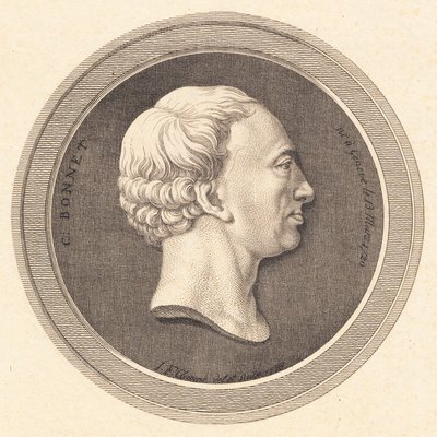 Relief Medaljon med portræt af Bonnet af J.F. Clemens