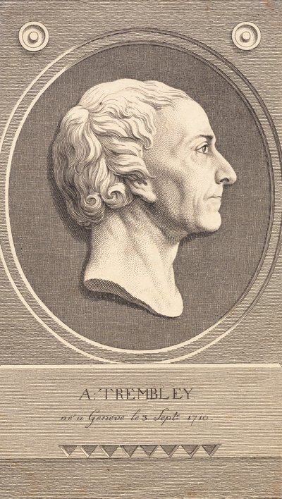 Relief Medaljon med portræt af zoologen Abraham Trembley af J.F. Clemens