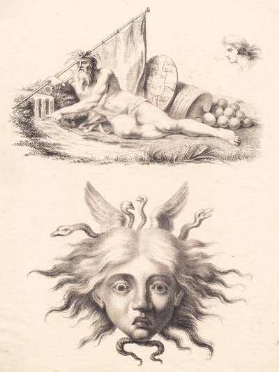 Øresund. Medusahoved af J.F. Clemens