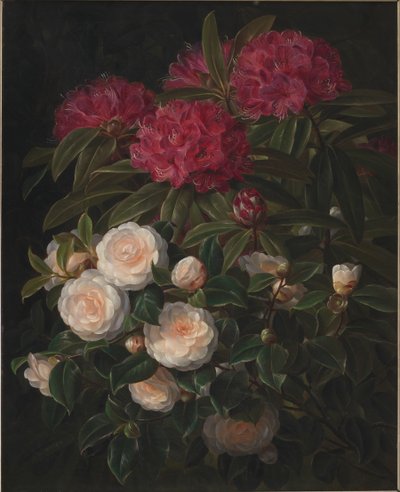 Kameliaer og rhododendron af J.L. Jensen