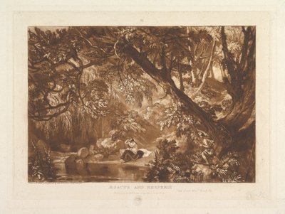 Aesacus and Hesperia, Video Ovid Metamorphoses, Bog XI Liber Studiorum, del X..., 1. januar 1819. af Joseph Mallord William Turner