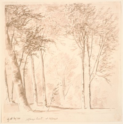 Skovparti af J.P. Møller
