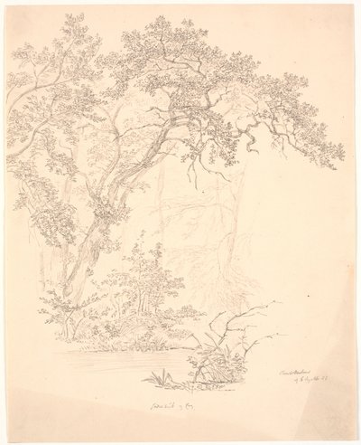 Træer af J.P. Møller