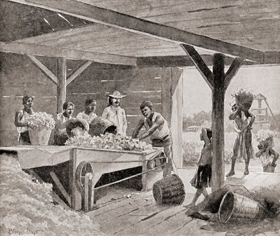 Slaver, der arbejder med en bomuldsgin fra det 19. århundrede på en plantage i en sydlig stat i USA, fra 
