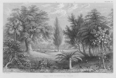 Frugt- og prydtræer (farvet gravering) af J. (after) Stewart