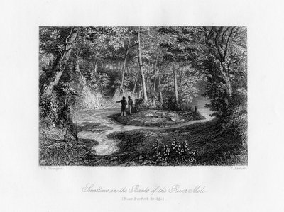 Svaler i bredden af floden Mole, Surrey, 1800-tallet af J. Archer