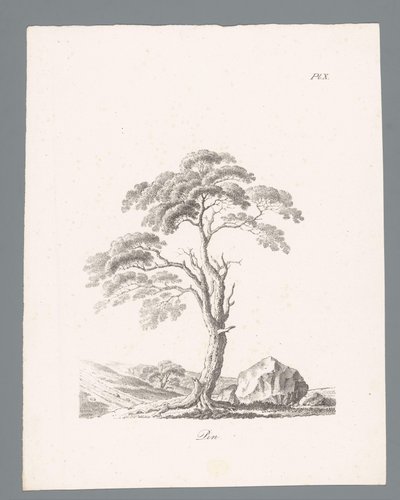 Hule Fastgør (titel på objekt) Studies van bomen (serietitel) Études d