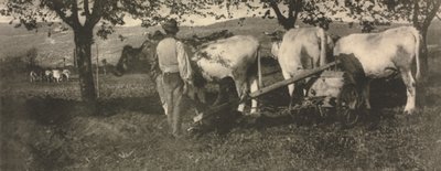 Kameraarbejde: Pløjehold af J. Craig Annan