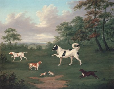 Sportshunde i et landskab af J. Francis Sartorius