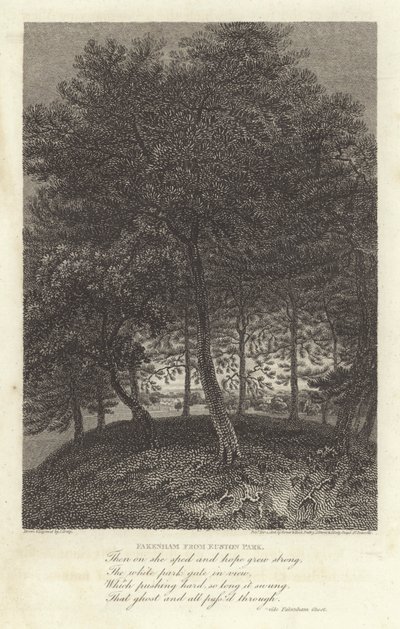 Robert Bloomfield, digter: Fakenham fra Euston Park (gravering) af J. Greig