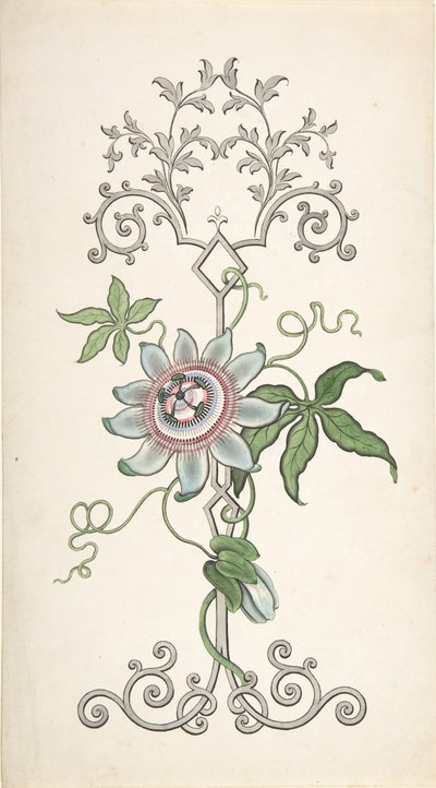 Design til paneldekoration centreret om en passionsblomst, 1828-40. af J Hulme