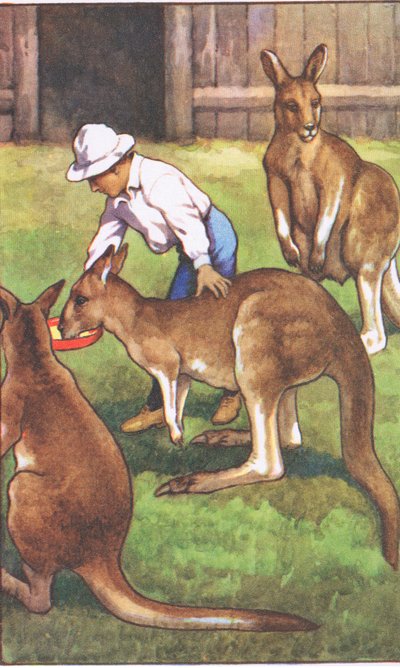 Australsk dreng, fra MacMillan skoleplakater, ca. 1950-60