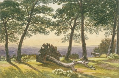Hampstead Heath, London, c1830 af J Powell
