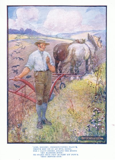 Lille beskeden, crimson tippet blomst, fra engelsk litteratur pub. af T C & EC Jack, ca. 1920 af J. R. Skelton