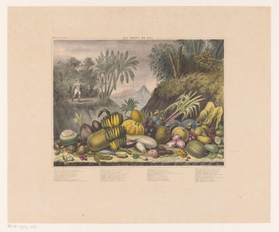Javanesiske frugter Les fruits de Java (titel på objekt) af J. Schnell
