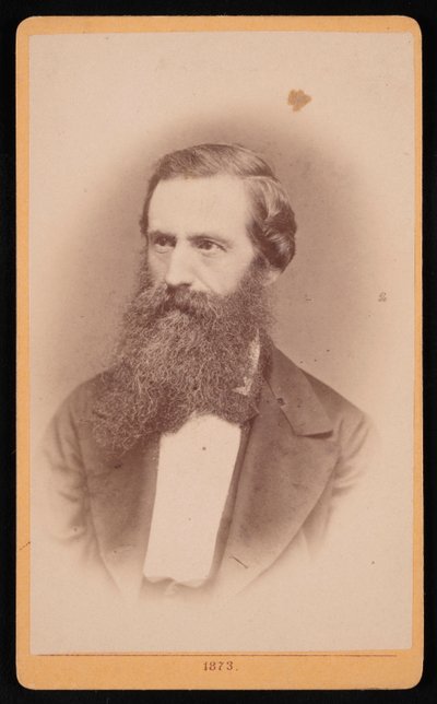 Portræt af Mordecai Cubitt Cooke 1825-1914, 1873. af J Stegmann