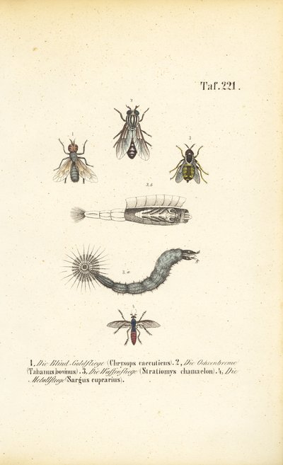 Bidende og blodsugende fluer af J. W. Tenhaeff