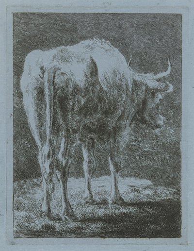 Ko i et landskab af Jabes Heenck