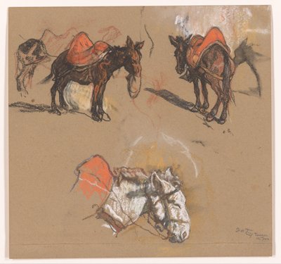 Studier af æsler og et muldyr på Grote Markt i Tanger af Jac van Looij (signed by artist)