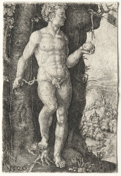 Adam, 1526. af Jacob Binck
