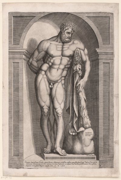 Hercules Farnese af Jacob Bos