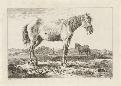 Stående hest i et landskab Seks tryk efter tegninger af forskellige mestre (serietitel) af Jacob Elias van Varelen