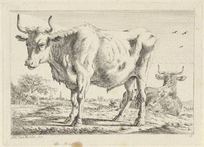 Stående og liggende okse Seks tryk efter tegninger af forskellige mestre (serietitel) af Jacob Elias van Varelen