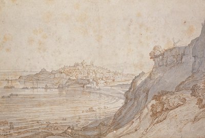 En udsigt over rug fra Point Hill (brunt blæk og grå vask) af Jacob Esselens