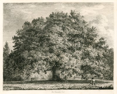 The Chandos Oak, Michendon House, Southgate, London af Jacob George Strutt
