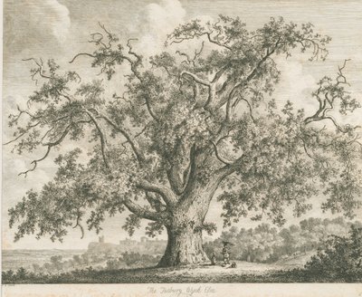Tutbury - "Wych Elm": radering, nd [c 1820] af Jacob George Strutt