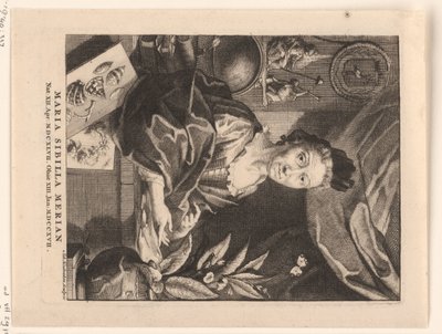Portret af Maria Sibylla Merian Maria Sibylla Merian (titel på objekt) af Jacob Houbraken