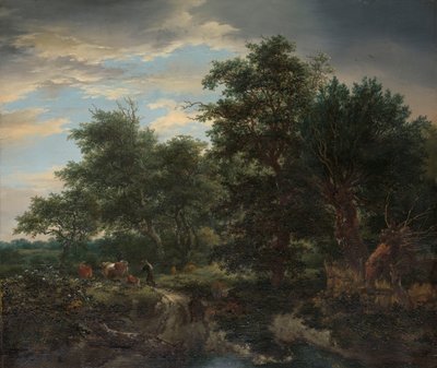 Skovscene af Jacob van Ruisdael