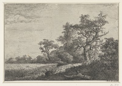 Kornmarken af Jacob van Ruisdael