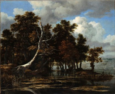 ""Ege ved en sø med åkander" Maleri af Jacob Isaacksz van Ruisdael (1628/29-1682) Olie på lærred Dim 116,6x142 cm Staatliche Museen, Berlin af Jacob van Ruisdael