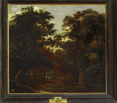 Skov ... af Jacob Isaaksz. or Isaacksz. van Ruisdael