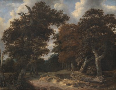 Vej gennem en Egeskov af Jacob van Ruisdael