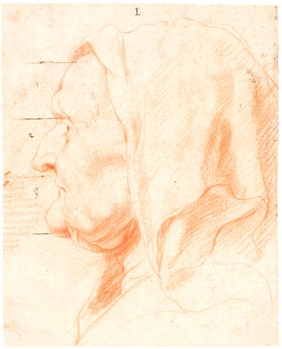 Leder af en gammel kvinde, i venstre profil af Jacob Jordaens