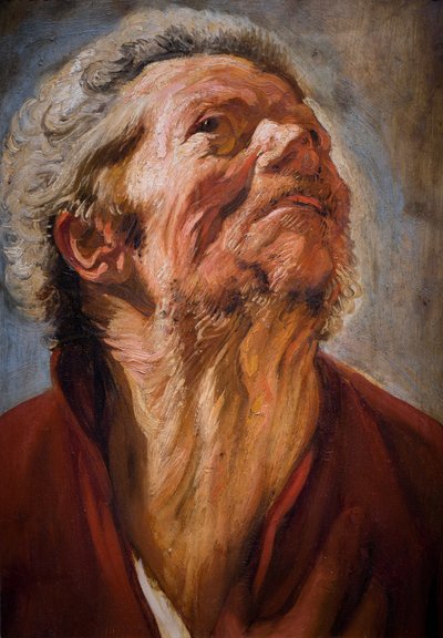 Leder af undersøgelsen af Jacob Jordaens