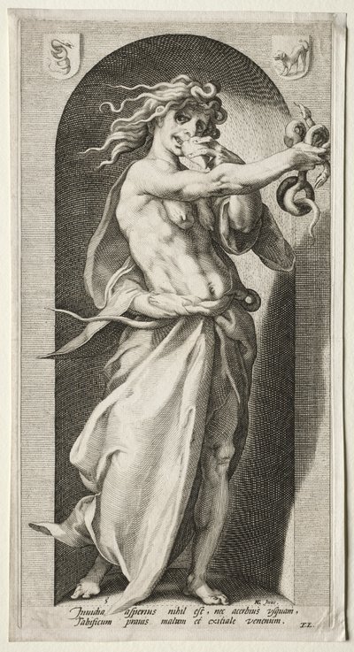 Misundelse af Jacob Matham