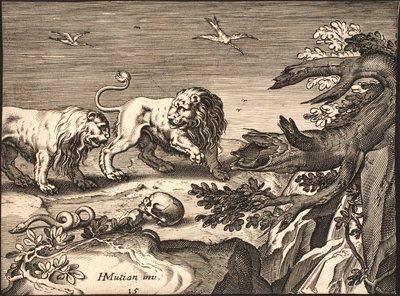 To løver i naturen af Jacob Matham