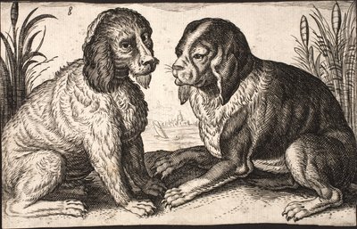 To hunde ved en søbred af Jacob Matham