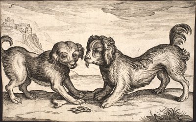 To små hunde af Jacob Matham